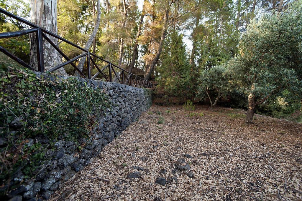 Casa Vacanze Etna Piedimonte Etneo Exterior photo