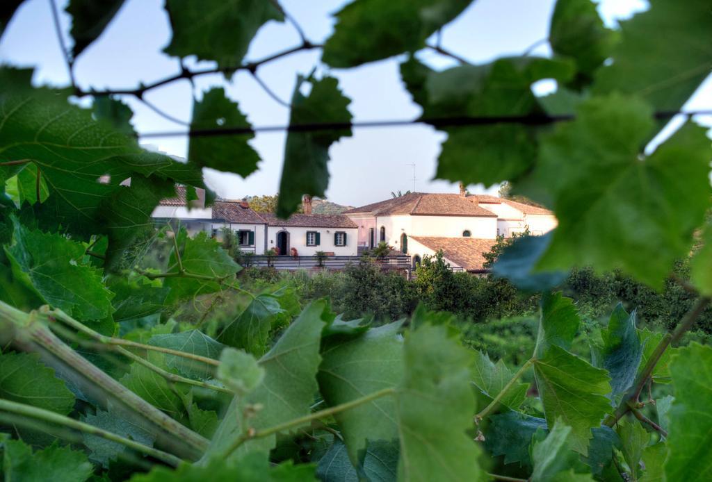 Casa Vacanze Etna Piedimonte Etneo Exterior photo